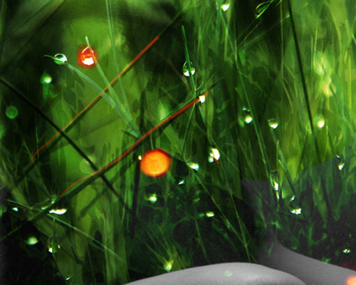 portfolio 8