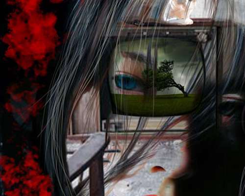 portfolio 8